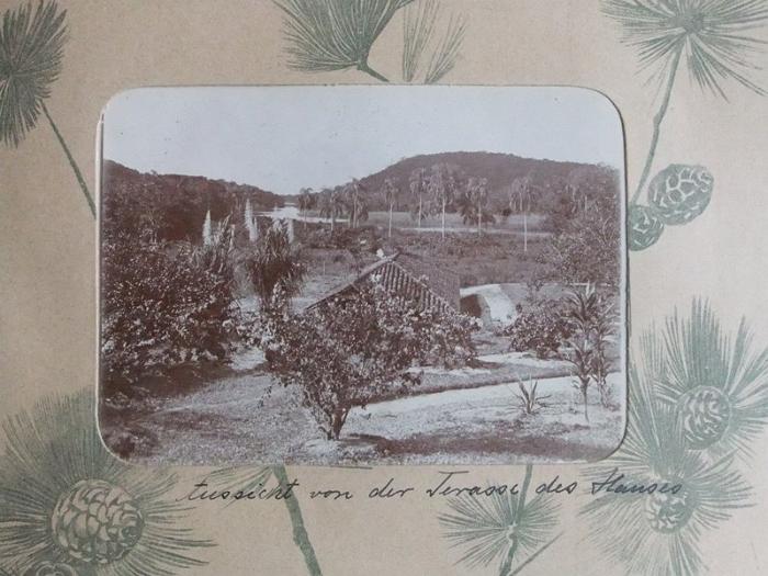 DrRPfeiffer-1899 049